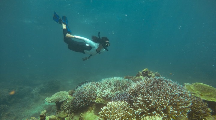 Kuliatan Marine Sanctuary